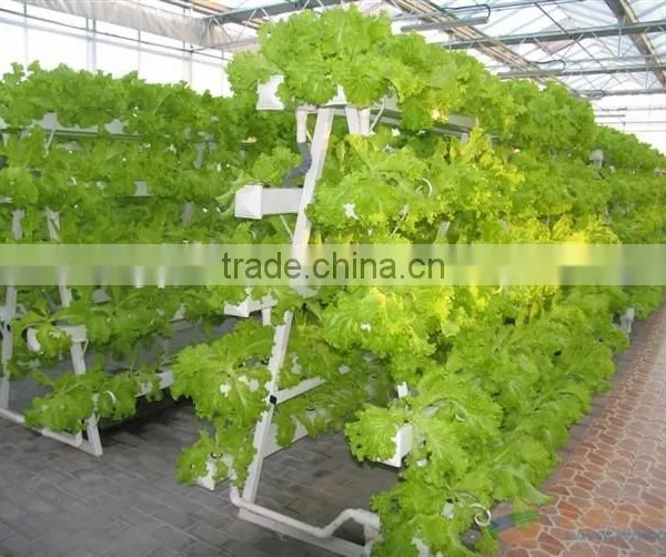 A Type Hydroponic Frame , Hydroponic System,hydroponic Tower photo-2