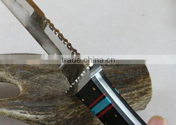 OEM Fixed Blade Collection Knife With Mirror Surface photo-5