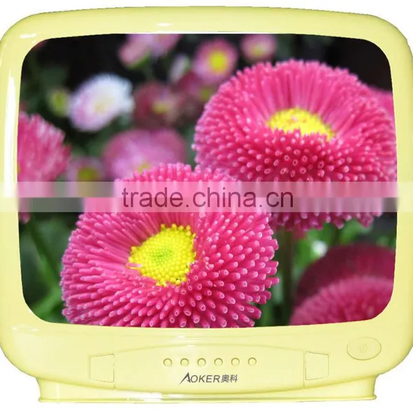 14 Inch Color CRT TV SKD 2 photo-4