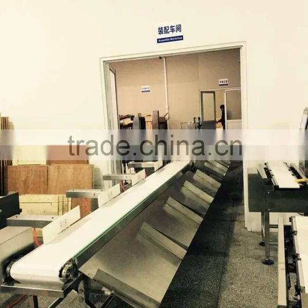 Automatic Cheap Online Checkweigher for Small Package Products From Royee photo-3