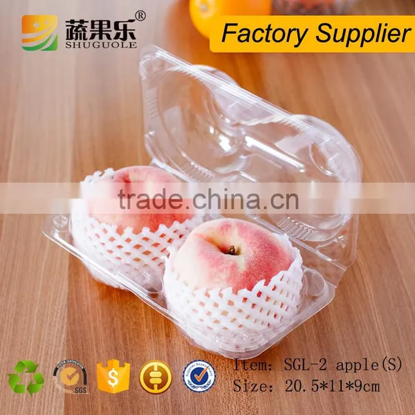 Plastic Apple Fruit Packaging Box photo-5