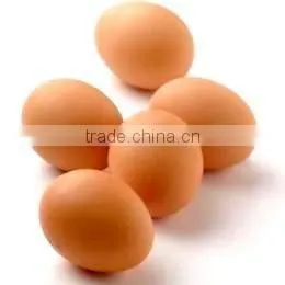 VIET NAM BROWN CHICKEN EGGS