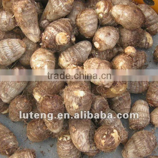 2015 Supplier of Good Taste and Natural Taro in China photo-2