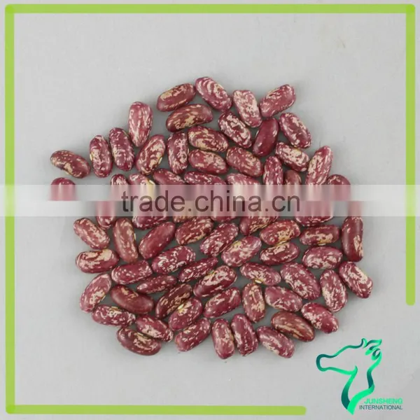 Red Speckled Kidney Beans photo-5