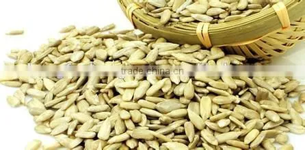 Organic Bulk Sunflower Kernels Big Size Facotry Sell to Buyers