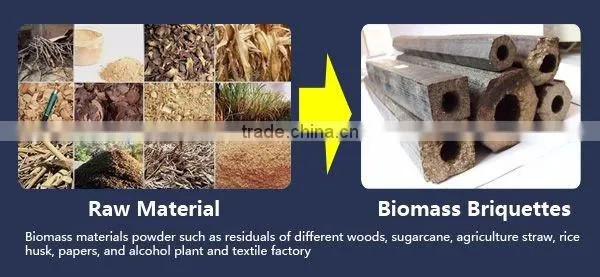 Briquette Machine Biomass Briquette Charcoal Plant photo-2