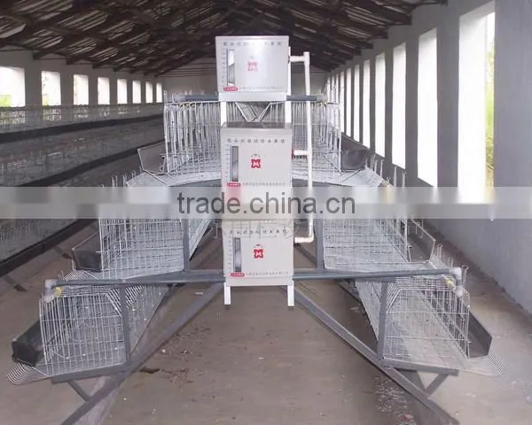 Layer Cages/Chicken Layer Cages/ Laying Chicken Cages