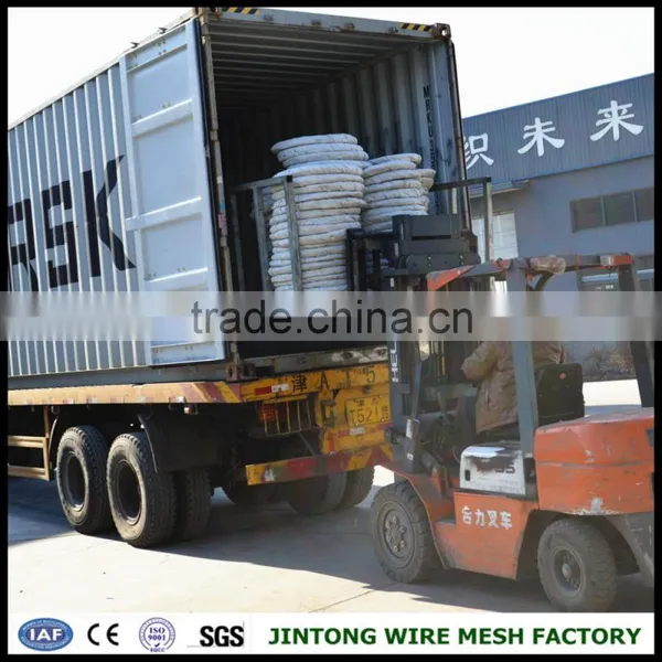 Razor Wire Barbe Wire Tape /concertina Razor Wire for Sale photo-5
