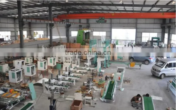 Specialized Subject Maize Grain Packing Machinery photo-3