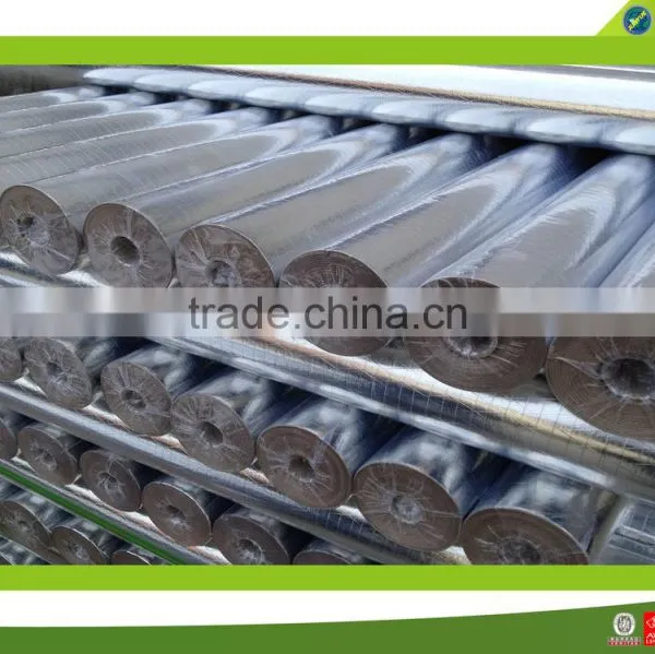 Heat Insulating Material,aluminum Foil Bubble Insulation photo-4