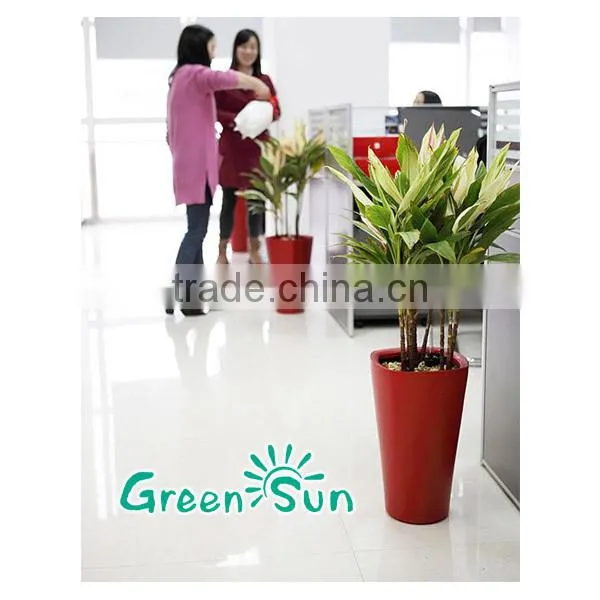 Rectangular Plastic Plant With Water Indicator 100% Similar as Lechuza photo-2