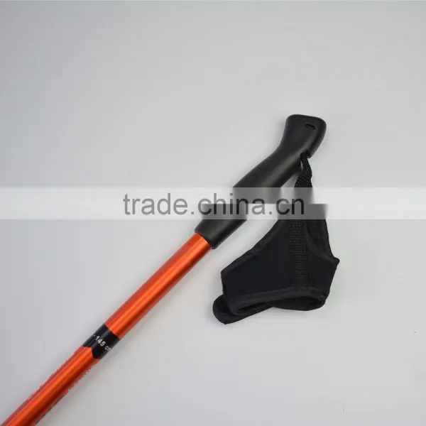 High Quality Factory Supply Aluminium Nordic Walking Stick photo-2