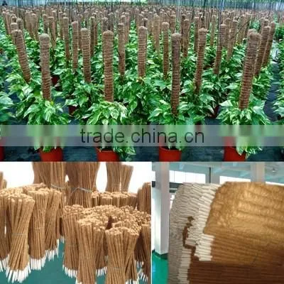 Coconut Pole for Plants & Flowers & PVC Bamboo Pole for Decorative photo-6