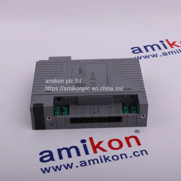 YOKOGAWA AAI141-S00 0950-3017 PS605-0101 photo-4