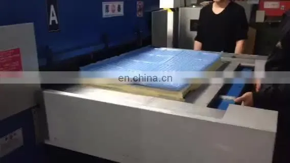 Double Side Automatic Feeding Hydraulic  Cutting Machine for Blister Package