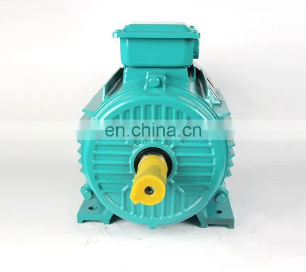 1.8kw Electric Motor photo-4