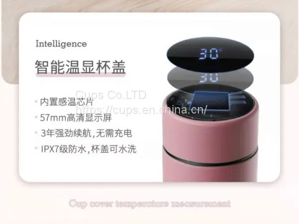 Vacuum Cup photo-2