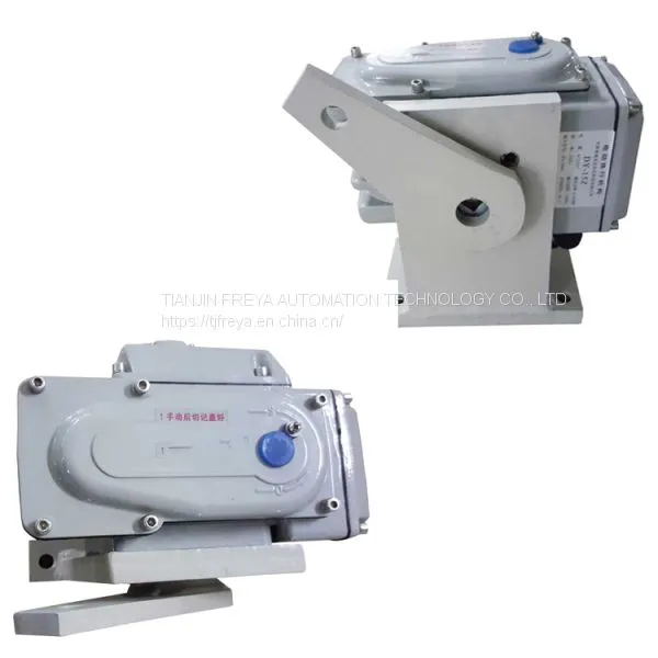 90 Degree Rotary Valve Electric Actuator DY250 DY250m DY250r DY250z photo-3