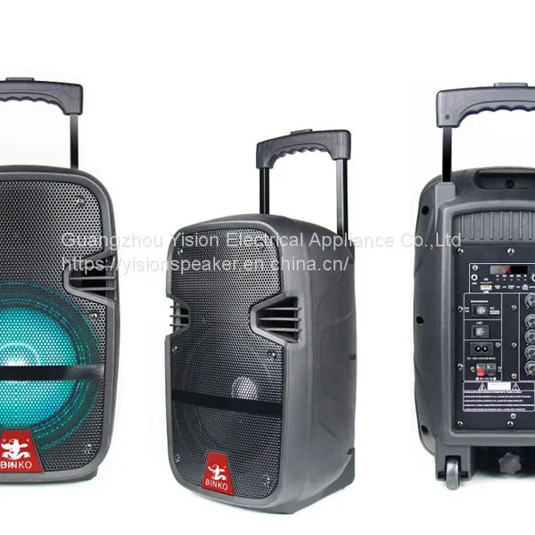 Chinese 8'' Portable Trolly Speaker Supplier BK-2281 photo-2
