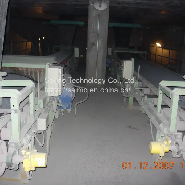 Saimo Model F53 Heavy Duty Weigh Belt Feeder System photo-2