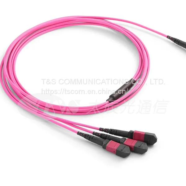 MTP/MPO Shuffle Cable photo-2