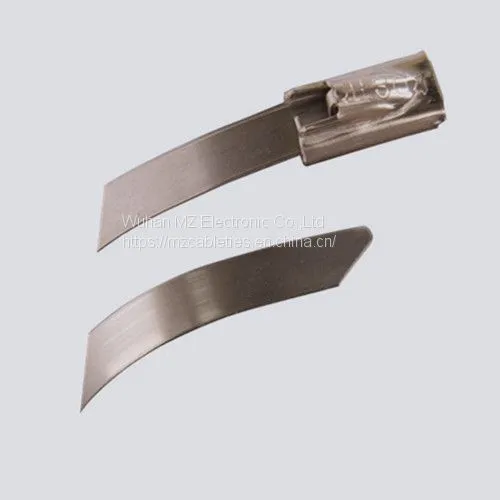 Stainless Steel Cable Ties
