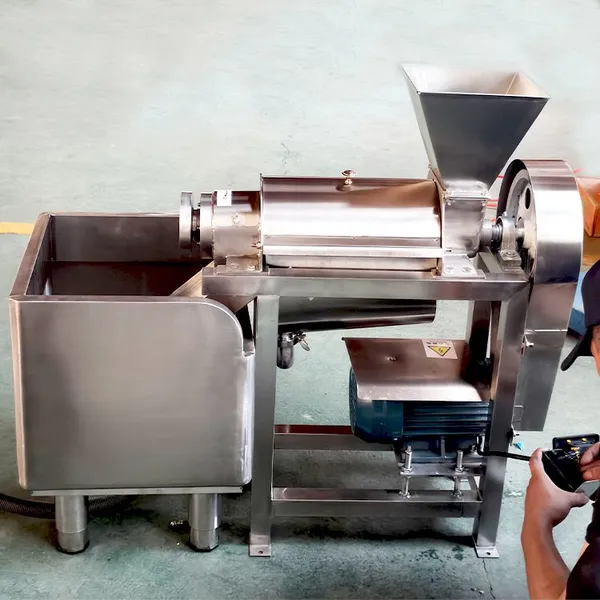 Industrial Fruit and Vegetable Spiral Automatic Juicer, Stainless Steel Fruit Extraction Machine photo-2