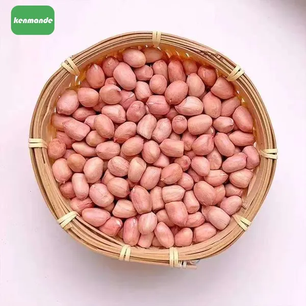 Коммерческие натуральные круглые ядра арахиса с красной кожурой 50/60 для экспортной торговли