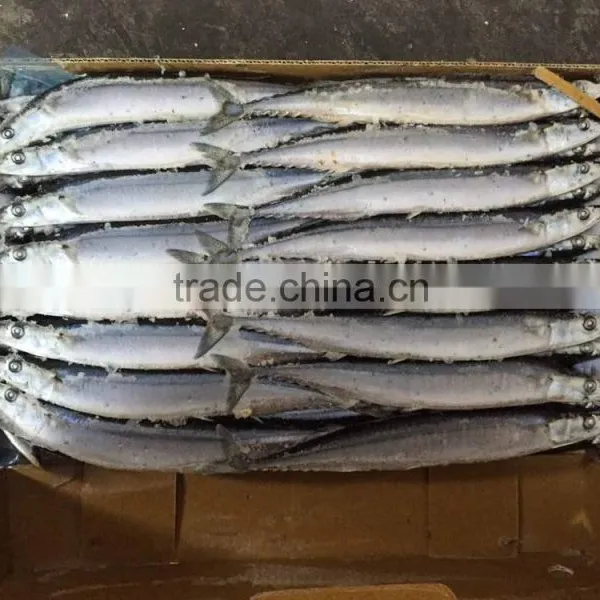 1# 120-140G Frozen Pacific Saury From China photo-4