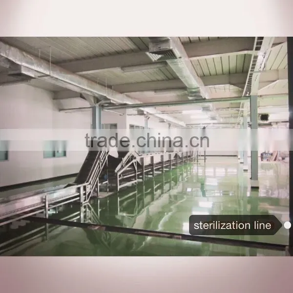 SQG Food Sterilization Machine