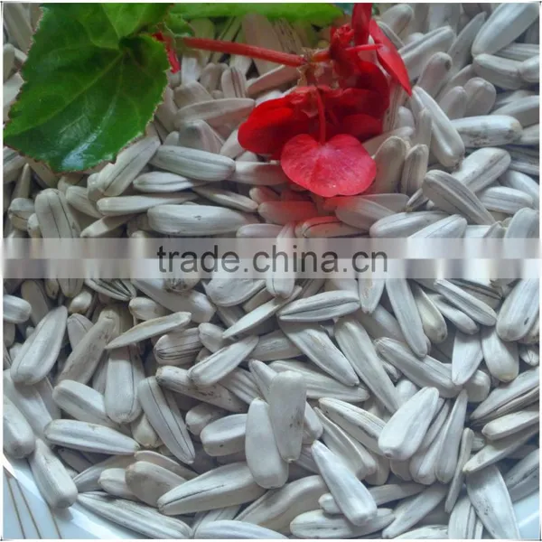 Chinese White Sunflower Seed In Shell For Sell At The Best Price! photo-2