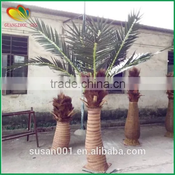 SUS Artificial Coconut Palm Tree Fiberglass Artifcial Coconut Tree photo-3