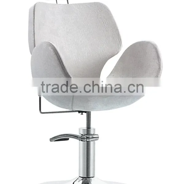 Portable Beauty Hair Salon Chair