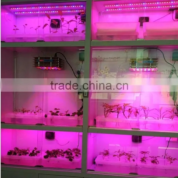 600w/1000w Led Grow Light Full Spectrum Certificate for Hydroponic Indoor Plants Growing photo-5