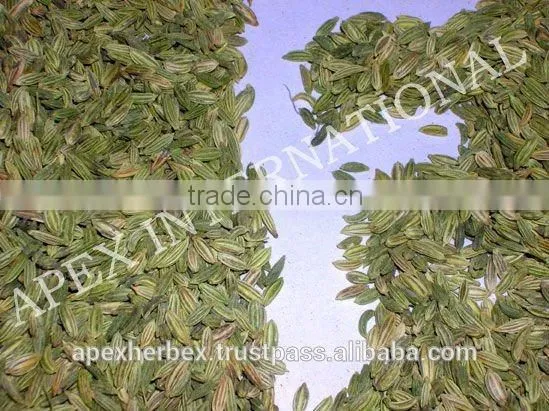 Dried Fennel Seed photo-3