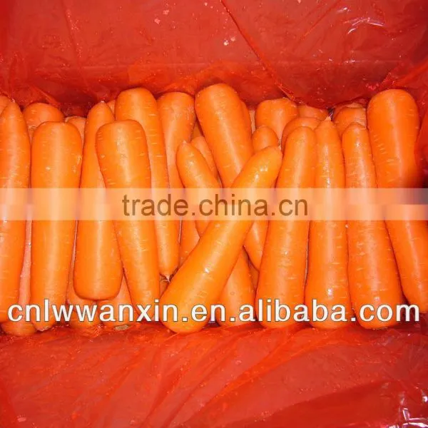 Chinese Fresh Washed Carrot