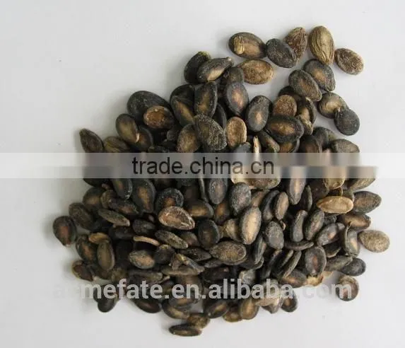 Black Watermelon Seeds B Grade in Low Price photo-4