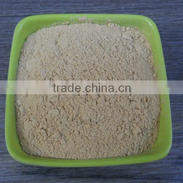 BEST WHITE GARLIC POWDER DRY FOR EXPORT photo-3