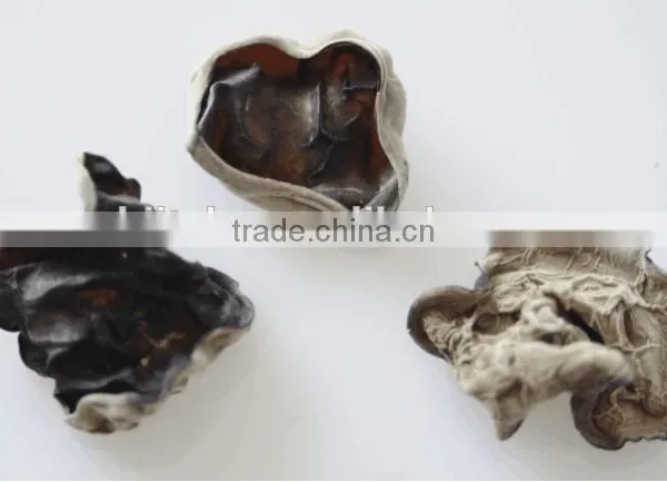 Dried White Back Black Fungus and Purchasing Large Qty Wood Ear Mushroom photo-2
