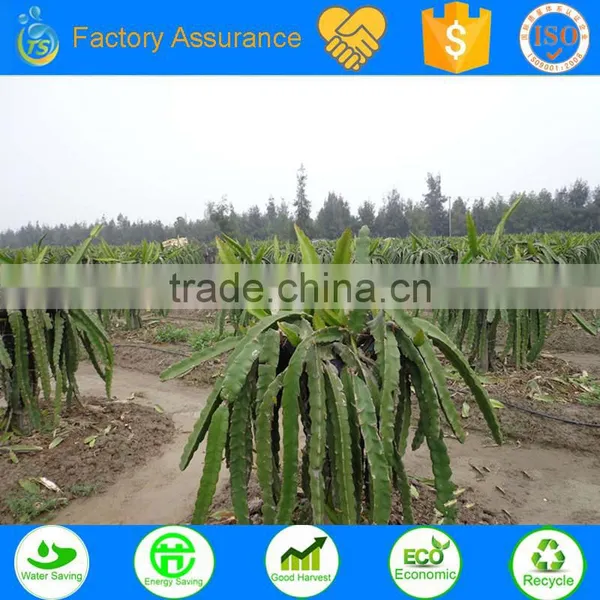 Fruit Tree Irrigation System Project Sample