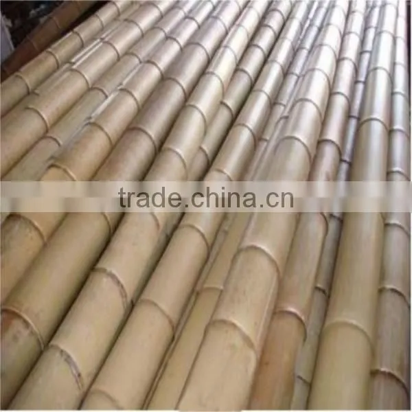 WY-202 Whole Part and Pole Shape Bamboo Cane for Sale photo-5