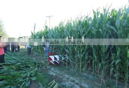 2016 New Model Corn Harvester photo-4