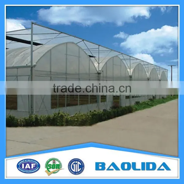 Multi Span Greenhouse /Invernadero For Vegetables photo-3