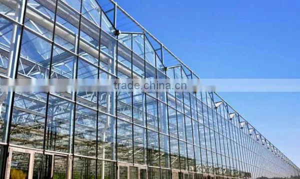 Glass Greenhouse-6 photo-3