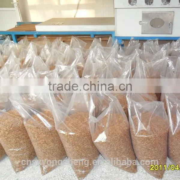 Good Quality Mealworms for Pet Birds ;Yongzheng Mealworms photo-4