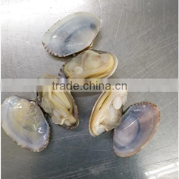FROZEN READY TO EAT SHORT NECKED CLAM photo-2