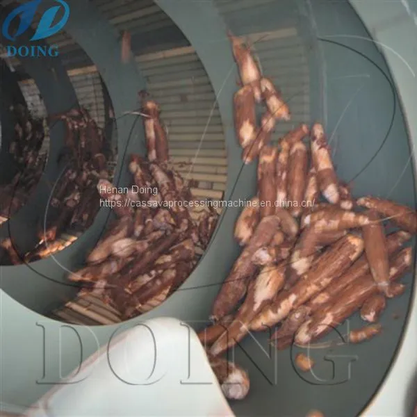 Fresh Cassava Cleaning Machine photo-4