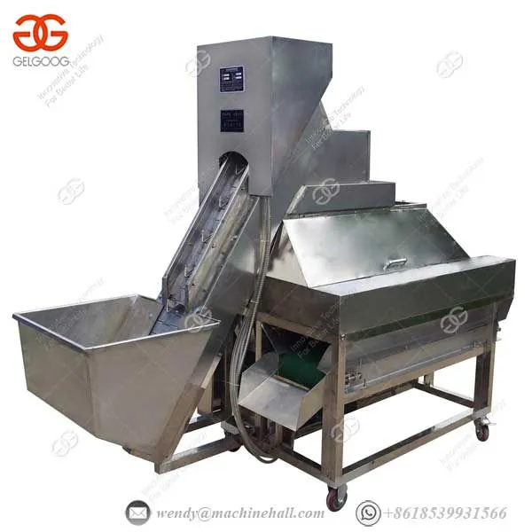 Industrial Fruit Peeling Machine Fully Automatic Fruit & Vegetable Processing Machines