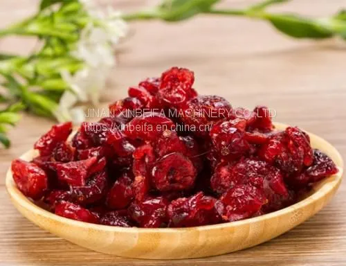 Cranberry Stem Drying Machine photo-5