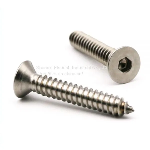 Self Tapping Screw photo-3